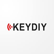 KeyDIY